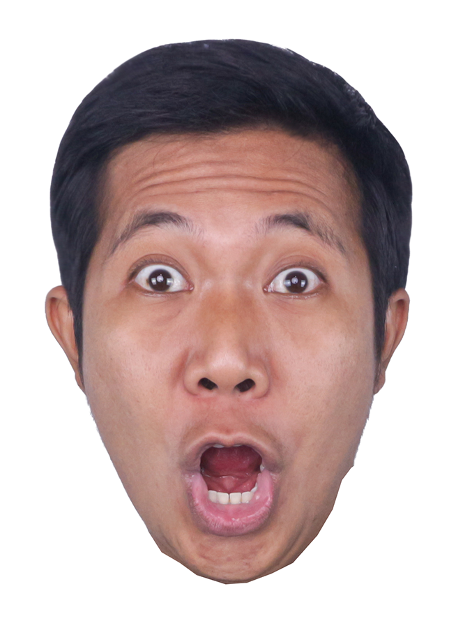Face Stickers example